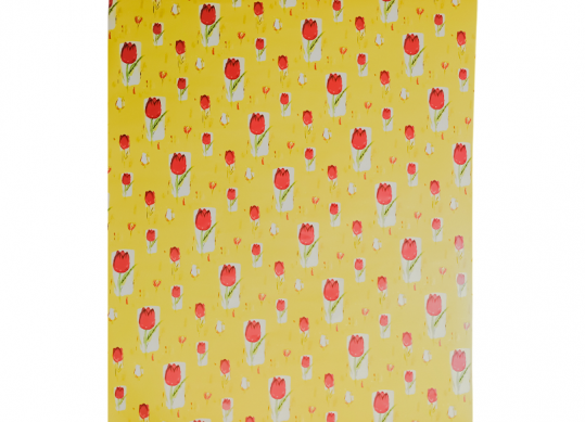 Hirtie p/u ambalarea cadourilor rulou 50m*70cm PS0029 0867-3