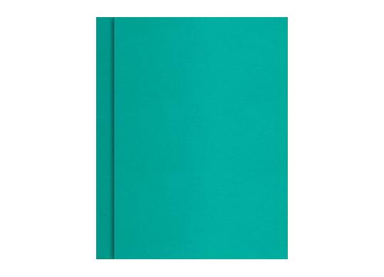 Carton A4 ART COLOR emeralde 225gr 650017