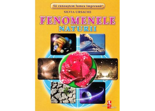Fisa Fenomenele naturii 107914