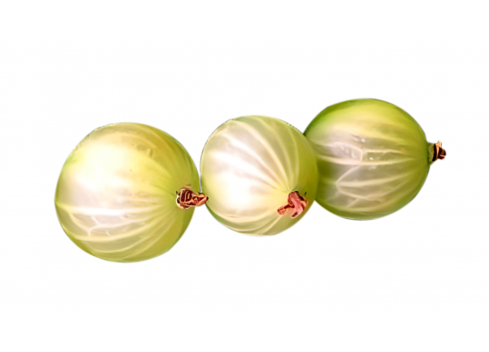 Fruct agris alb CM3068A