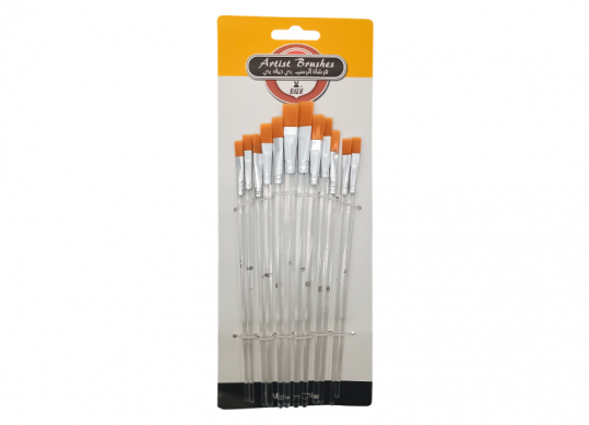 Pensule set (12buc) plate ML2-15/34-9 coada transparenta 077658-P