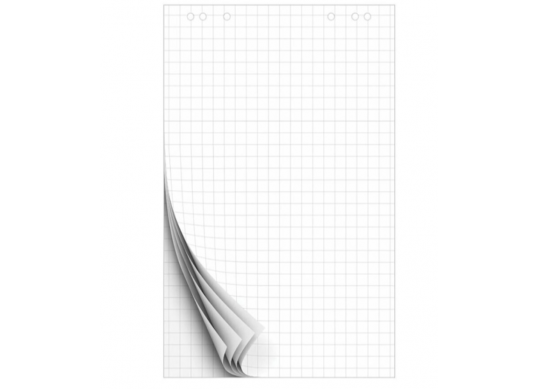 Flipchart bloc 690x990mm 20coli Carouri EL699921
