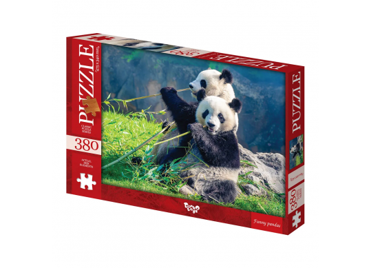 Puzzle  C380-06-02 42417