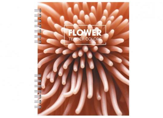 Carnet B5 60foi (spira laterala) mate O25935