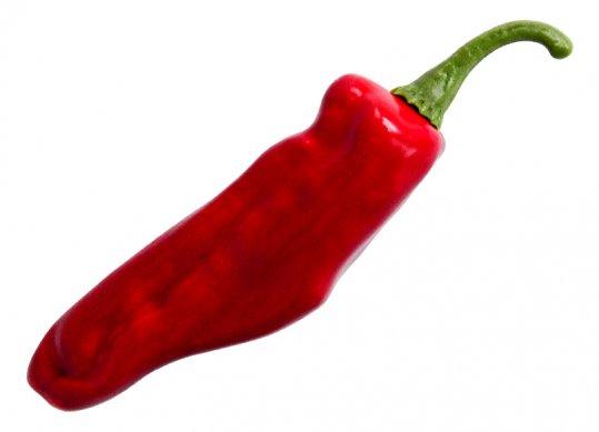 Leguma ardei capia decorativ rosu 18.8x4.5cm 8771L