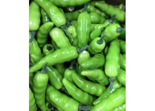 Leguma ardei iute decorativ (verde,rosu) CM435 CM435