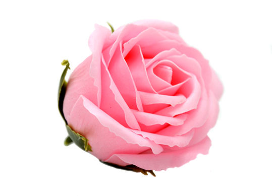 Trandafir parfumat Roz piersic (sapun)ML31-4 811571