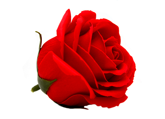 Trandafir parfumat Rosu (sapun)ML31-1 811595