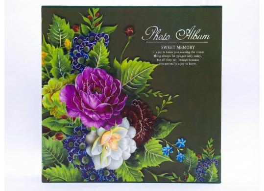 Album foto (619) CM619
