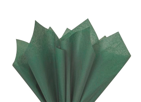 Hirtie Tissue 21g/m2 1buc 50x76cm muschi verde F042A
