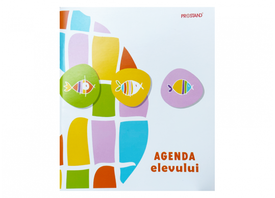 Agenda elevului 48 File BRISK AGPR