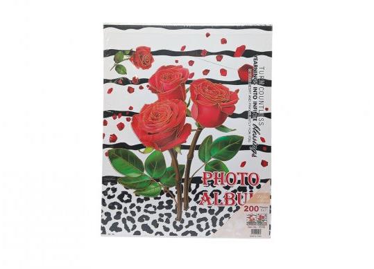 Album foto (602) CM602