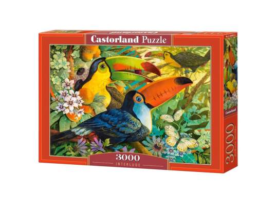 Puzzle 3000 buc Castor C300242