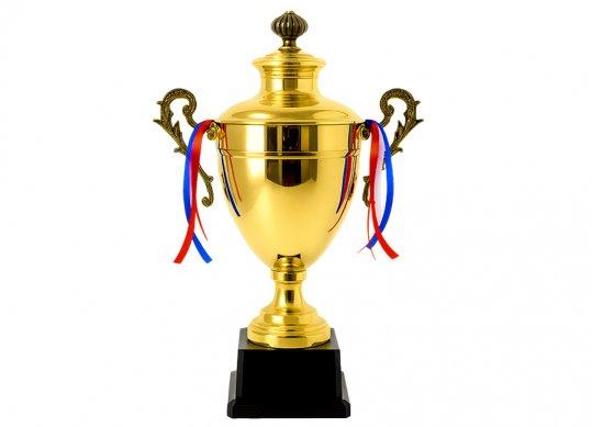 Cupa cu capac+medalie(ML26-12)(suport negru) 49cm 232160