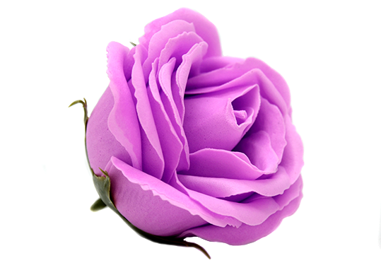 Trandafir parfumat Violet (sapun)ML31-5 811632