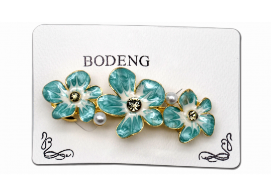 Accesorii AGRAFA (79.00) AP002933