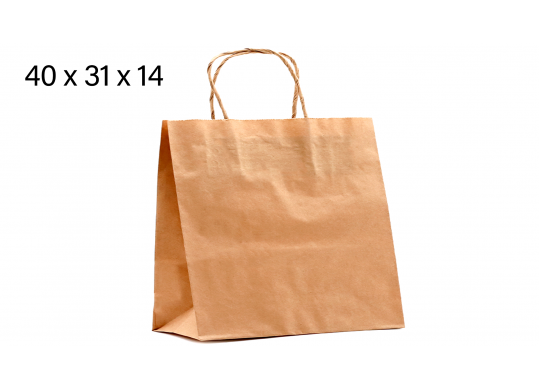 Punga hirtie craft 40*32*14, 80gr, cu minere rasucite 403214-80R