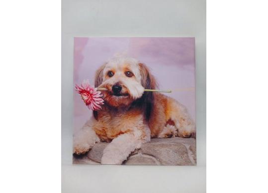 Album foto 20foi magnetice 31.5x32.5cm CM654