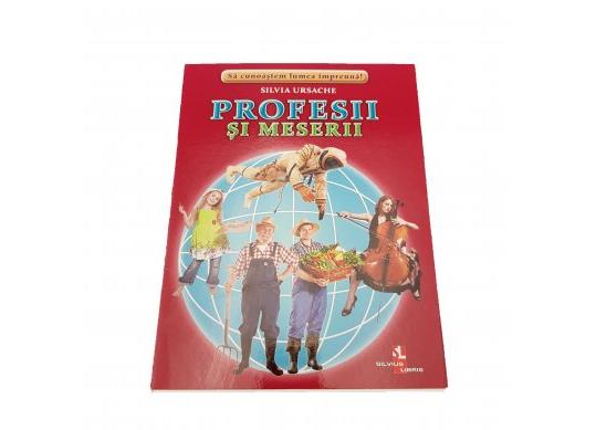 Fisa Profesii si meserii 107907